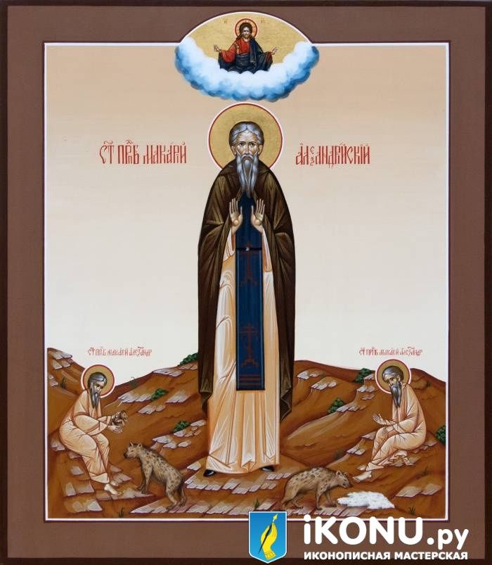 Икона Святого Макария Александрийская (именная, золото в нимбе, с житейными сценами) (образ №328358)