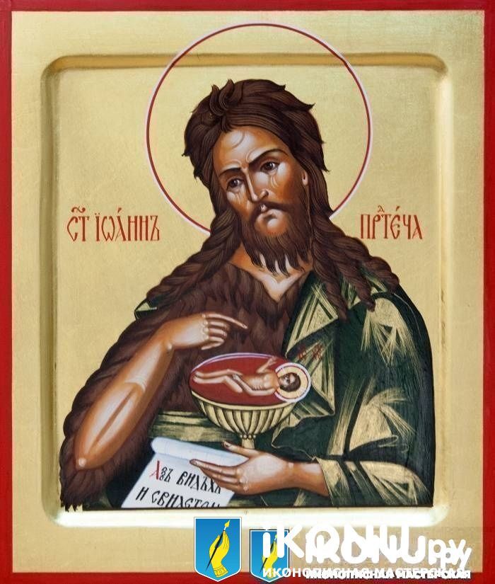 Икона Святого Иоанна Предтечи (именная, на золоте) (образ №324310)
