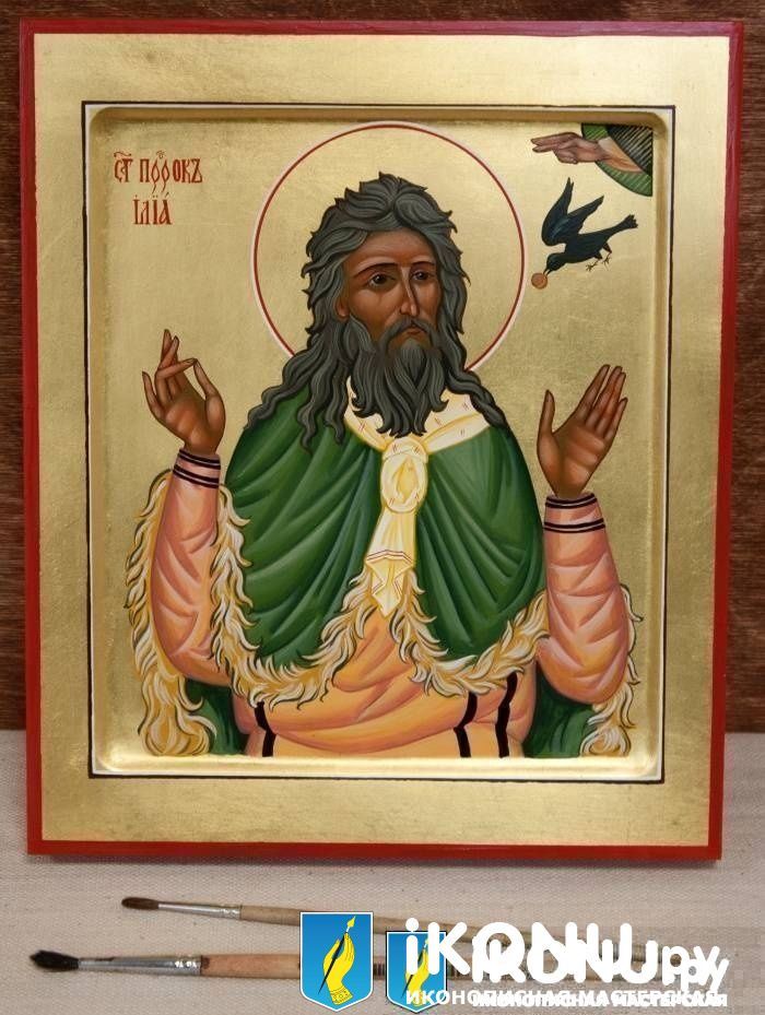 Икона Святого Илии пророка (именная, на золоте) (образ №322788)