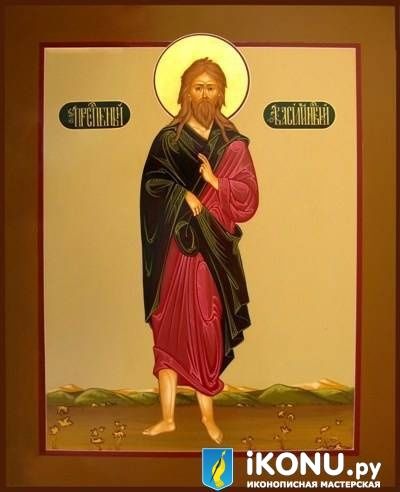 Святой Василий Новый (образ №319021)