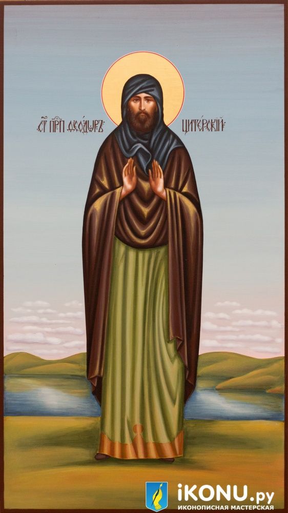 Икона Святого Феодора Цитерского (мерная, академическое письмо) (образ №338055)