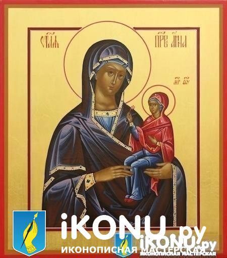 Икона Святой Анны Угодницы Божией (именная, на золоте) (образ №327069)