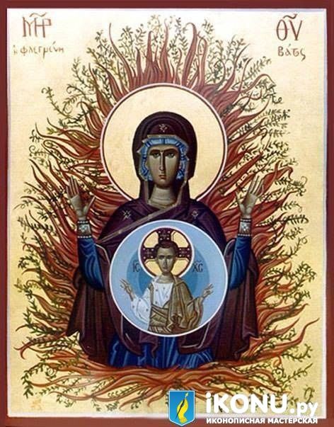 Икона Божией Матери Неопалимая Купина (уникальное исполнение), на золоте (образ №325689)