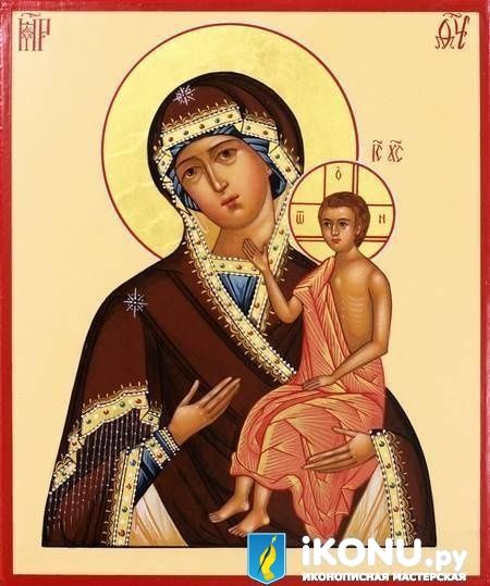 Воспитание Икона Божьей Матери (живописная) (образ №321836)